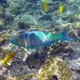 L200 Phase 2 - Snorkel pour Mitsubishi