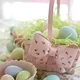 Pare-Chocs