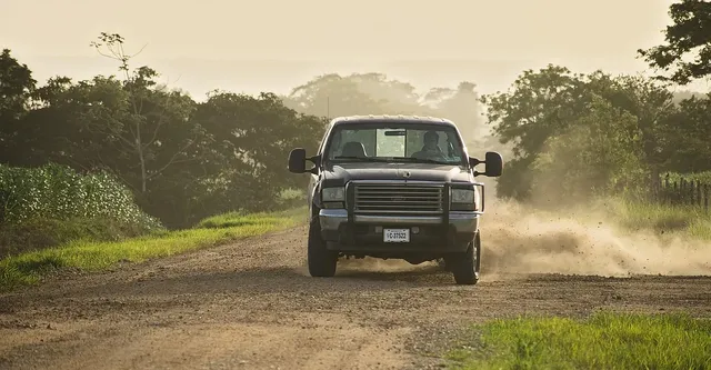 Pickup W100-250 4WD de 1977+ 80-120mm - Amortisseur de direction AVANT CONFORT Trail Master pour Dodge