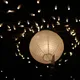 Barre 10 LEDs 50 Watts