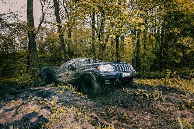 Grand Cherokee WK,WH de 2005+ 30-60mm - Amortisseur de direction ARRIERE SPORT Trail Master pour Jeep