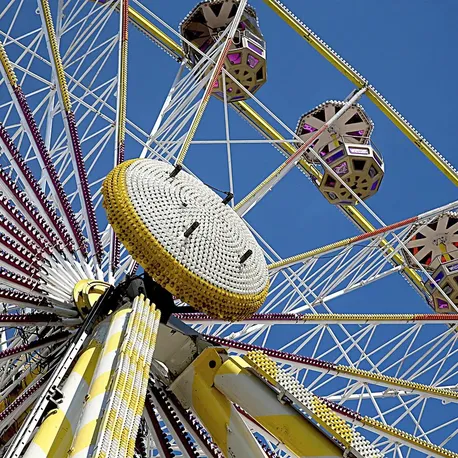 RACER NOIR - 8 x 16 - 5 x 165.1 - Dep 10